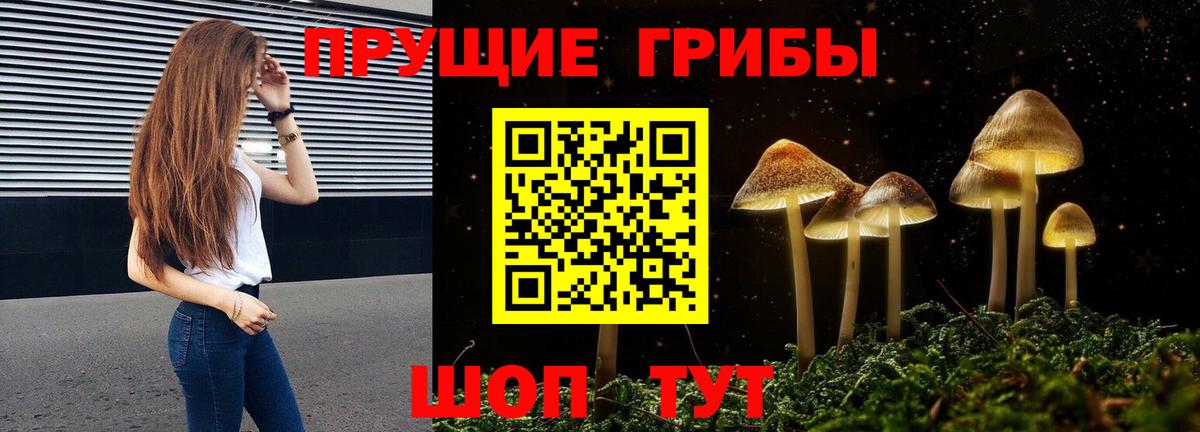 Псилоцибиновые грибы мицелий  Вход с VPN  закладка  Красногорск 